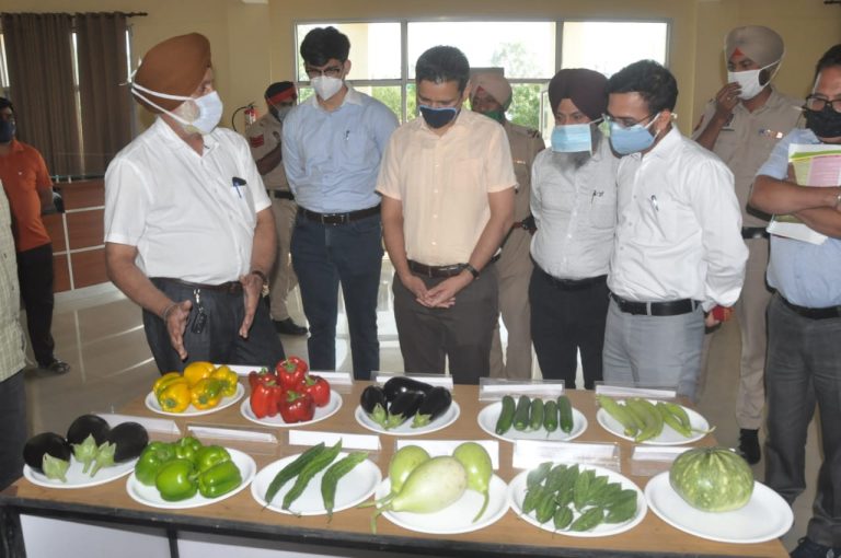 सैंटर आफ एक्सीलेंस फार वैजीटेबलज़ के उत्पादों के व्यापक प्रचार के लिए आई.टी. इनफ्रास्ट्रक्चर और मोबायल एप विकसित की जाये: डिप्टी कमिश्नर