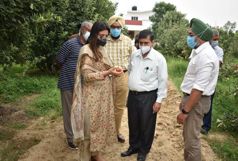 ਫ਼ਸਲੀ ਵਿਭਿੰਨਤਾ ਸਮੇਂ ਦੀ ਮੁੱਖ ਲੋੜ, ਕਿਸਾਨਾਂ ਨੂੰ ਫ਼ਸਲੀ ਚੱਕਰ ’ਚੋਂ ਨਿਕਲਣ ਦਾ ਸੱਦਾ : ਅਪਨੀਤ ਰਿਆਤ