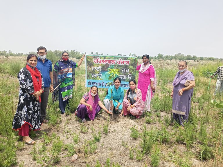 कोरोना ने लोगों को बताया आक्सीजन व पेड़ों का महत्तव : नीति तलवाड़।