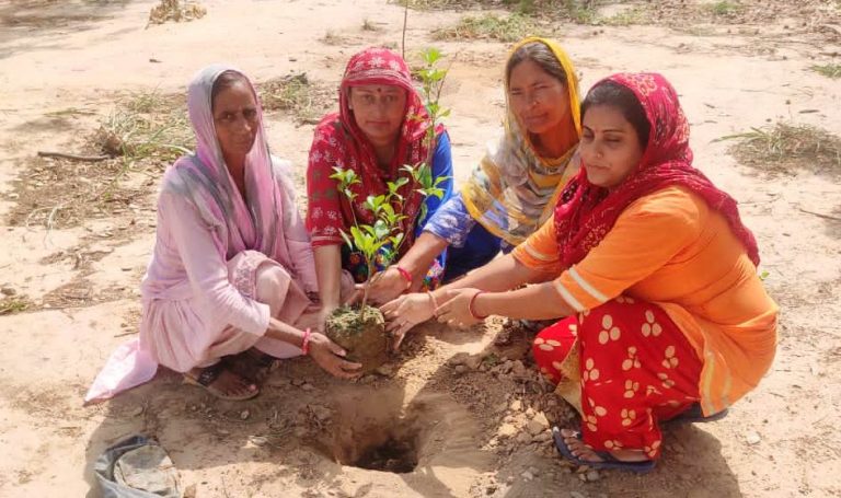 ਸਰਕਾਰੀ ਪ੍ਰਾਇਮਰੀ ਸਕੂਲ ਨੋਮਲਾ ਵਿਖੇ ਵਾਤਾਵਰਣ ਦਿਵਸ ਮਨਾਇਆ