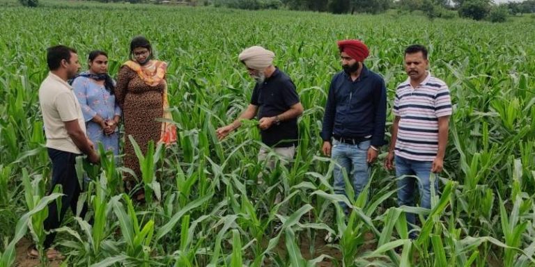 ਮੱਕੀ ਦੀ ਫਸਲ ਨੂੰ ਫਾਲ ਆਰਮੀ ਵਰਮ ਤੋਂ ਬਚਾਉਣ ਲਈ ਨਿਰੰਤਰ ਨਿਰੀਖਣ ਦੀ ਜ਼ਰੂਰਤ: ਡਾ. ਅਮਰੀਕ ਸਿੰਘ