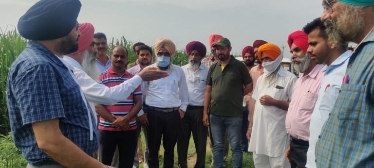 ਪੰਜਾਬ ਸਰਕਾਰ ਵੱਲੋਂ ਗੰਨਾ ਕਾਸਤਕਾਰਾਂ ਦੀ ਪ੍ਰਤੀ ਹੈਕਟੇਅਰ ਪੈਦਾਵਾਰ ਵਧਾ ਕੇ ਆਮਦਨ ਵਿੱਚ ਵਾਧਾ ਕਰਨ ਲਈ ਵਿਸ਼ੇਸ਼ ਉਪਰਾਲੇ ਕੀਤੇ ਜਾ ਰਹੇ ਹਨ: ਕੇਨ ਕਮਿਸ਼ਨਰ