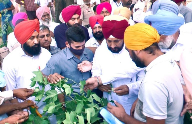 ਪੰਜਾਬ 26 ਸਤੰਬਰ ( ਨਿਊਜ਼ ਹੰਟ )