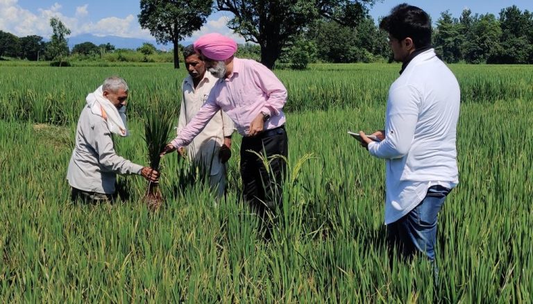 ਝੋਨੇ ਦੀ ਫਸਲ ਉੱਪਰ ਕੇਵਲ ਜ਼ਰੂਰਤ ਅਨੁਸਾਰ ਹੀ ਕੀਟਨਾਸ਼ਕ ਜਾਂ ਉੱਲੀਨਾਸ਼ਕ ਦਾ ਛਿੜਕਾਅ  ਕੀਤਾ ਜਾਵੇ: ਡਾ.ਅਮਰੀਕ ਸਿੰਘ