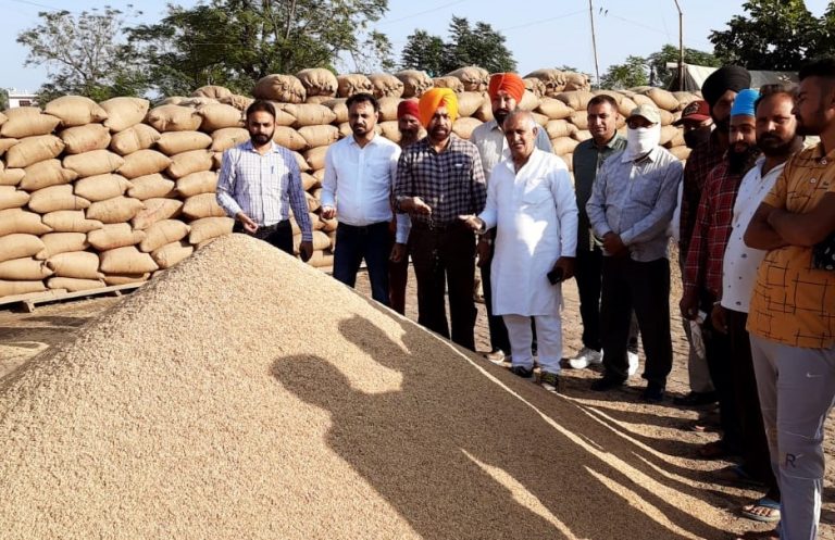 डी एफ एस सी डॉ निर्मल सिंह ने किया नारंगपुर मंडी का दौरा, कहा खरीदफरोख्त में नहीं आने दी   जाएगी कोई परेशानी