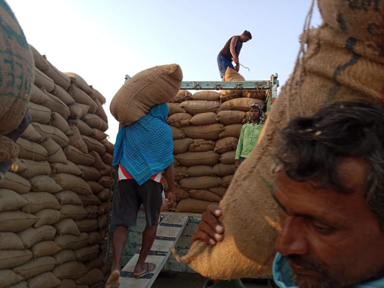 61.84 प्रतिशत लिफ्टिंग के साथ जालंधर राज्य भर में आगे: घनश्याम थोरी