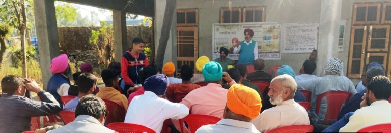 ਕਣਕ ਦੀ ਫਸਲ ਵਿੱਚ ਨਦੀਨਾਂ ਦੀ ਰੋਕਥਾਮ ਲਈ ਸਿਫਾਰਸ਼ਸ਼ੁਦਾ ਨਦੀਨਨਾਸ਼ਕਾਂ ਦਾ ਹੀ ਛਿੜਕਾਅ ਕੀਤਾ ਜਾਵੇ : ਡਾ. ਅਮਰੀਕ ਸਿੰਘ