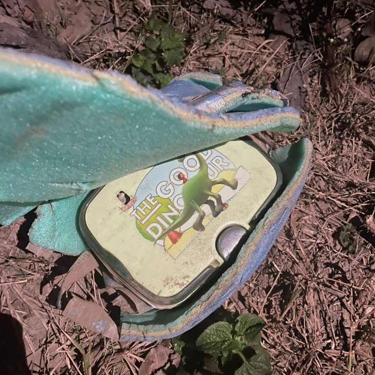 ਪੰਜਾਬ 03 ਦਸੰਬਰ (ਨਿਊਜ਼ ਹੰਟ)