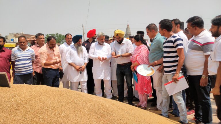 ਕੈਬਨਿਟ ਮੰਤਰੀ ਪੰਜਾਬ ਲਾਲ ਚੰਦ ਕਟਾਰੂਚੱਕ ਨੇ ਕਾਨਵਾਂ ਮੰਡੀ ਵਿੱਚ ਕਣਕ ਦੀ ਸਰਕਾਰੀ ਖਰੀਦ ਦੀ ਕੀਤੀ ਸੁਰੂਆਤ