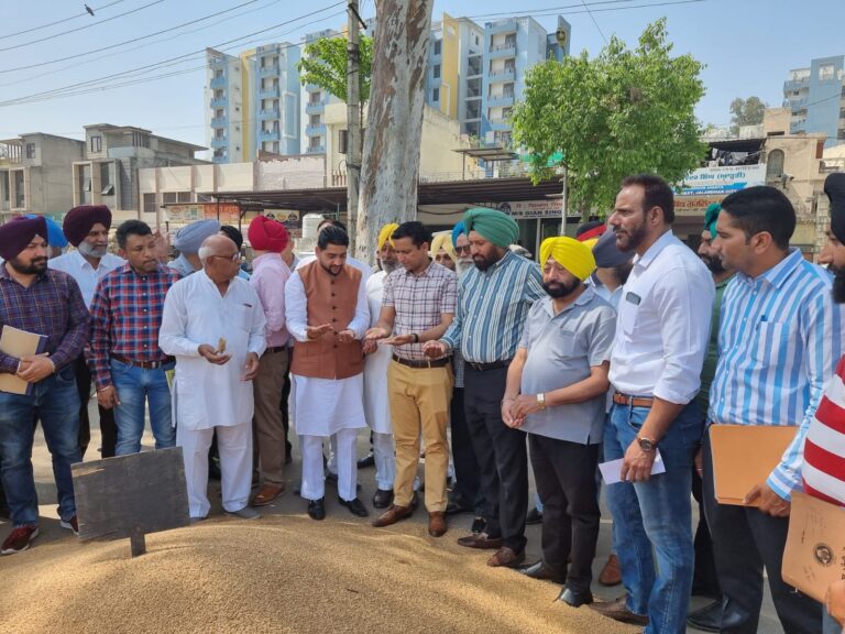 MLAs, AND DC KICKSTART WHEAT PROCUREMENT AT NEW GRAIN MARKET, INTERACTS WITH FARMERS