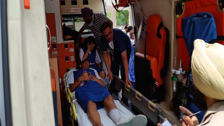 चंडीगढ़ में बड़ा हादसा : स्कूल में लंच टाइम के दौरान बच्चों पर गिरा 250 साल पुराना पेड़, एक स्टूडेंट की मौत; कई जख्मी