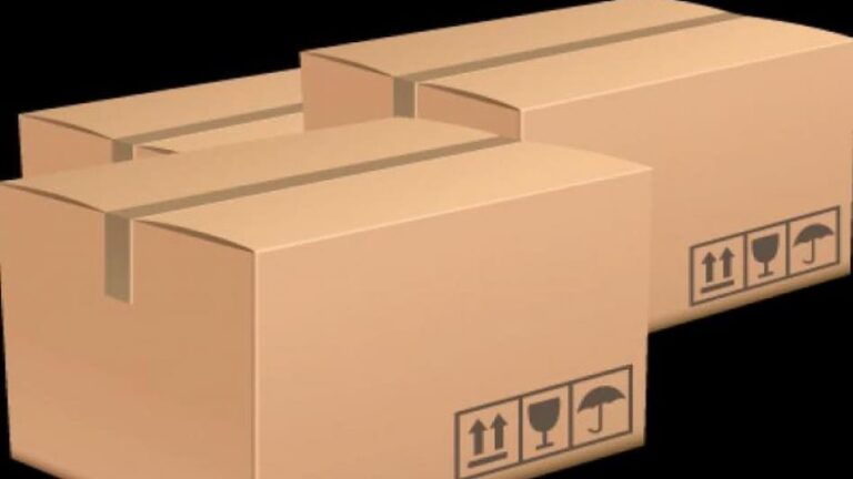 दिमाग है या कम्प्यूटर…. इंश्योरेंस के पैसे चाहिए थे, इसलिए नाबालिग ने कोरियर पॉर्सल में बम लगा दिया!