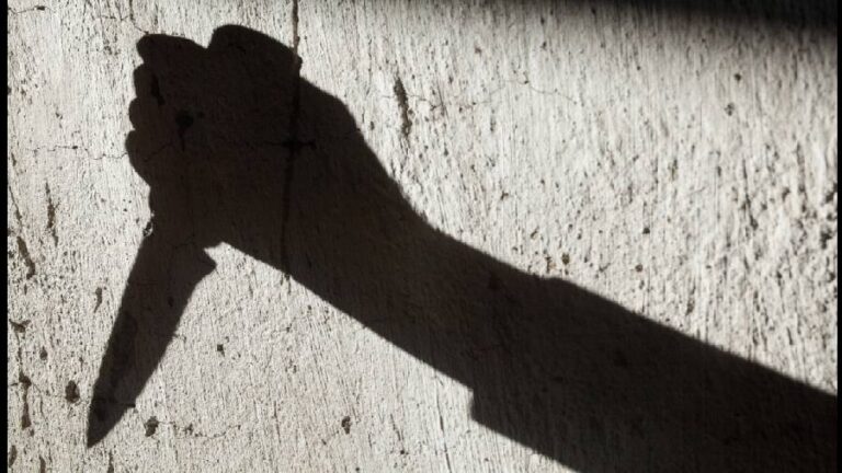 बैट से पत्नी की हत्या, शराब पिलाकर दोस्त का प्राइवेट पार्ट काटा, अवैध संबंध के शक में डबल मर्डर