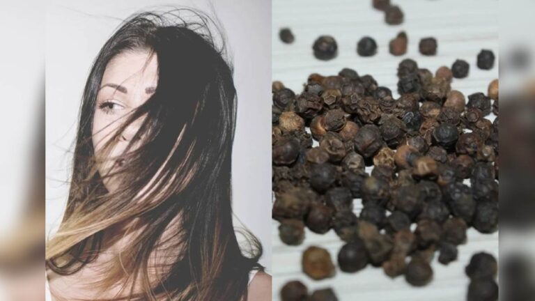 Black Pepper Benefits : गंजेपन से हैं परेशान तो करें काली मिर्च का सेवन, ऐसे करें इस्तेमाल