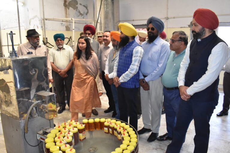 किसान अपनी उपज की प्रोसेसिंग कर कमा सकते हैं अच्छा मुनाफा : कोमल मित्तल