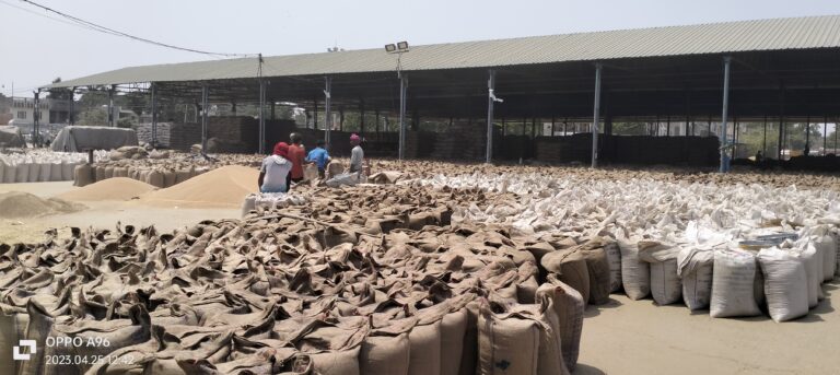 मंडियों में गेहूं की लिफ्टिंग में आई तेजी, अब तक 58679 मीट्रिक टन गेहूं की हुई लिफ्टिंग