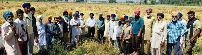 फगवाड़ा हलके के ग्रामीण क्षेत्रों में फसलों के नुकसान का लगातार जायजा ले रहे धालीवाल