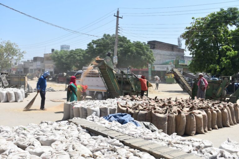 जिले की मंडियों में अब तक पहुंचे 100 प्रतिशत गेहूं की हो चुकी है खरीद: डिप्टी कमिश्नर