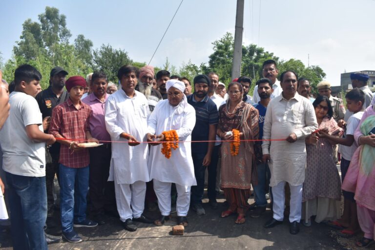 गांवों में बिना किसी रुकावट के उपलब्ध करवाई जा रही हैं आधारभूत सुविधाएं: ब्रम शंकर जिंपा