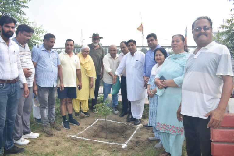 नगर निगम होशियारपुर के खाली स्थानों को ग्रीन बैल्ट के तौर पर किया जाएगा विकसित: ब्रम शंकर जिंपा