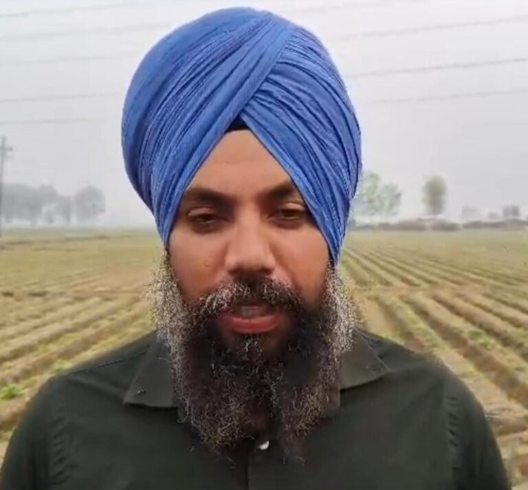 आलू की बिजाई के लिए डी.ए.पी. के विकल्प के तौर पर 