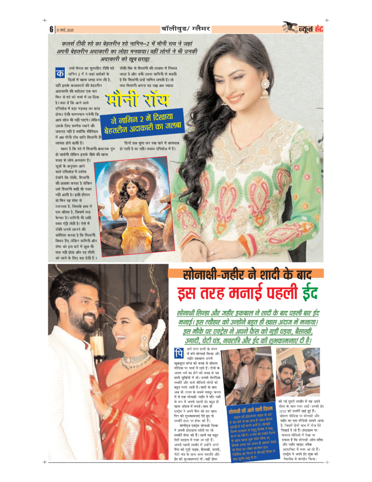 News Hunt Daily Evening E-Paper 31-03-2025 Page 6