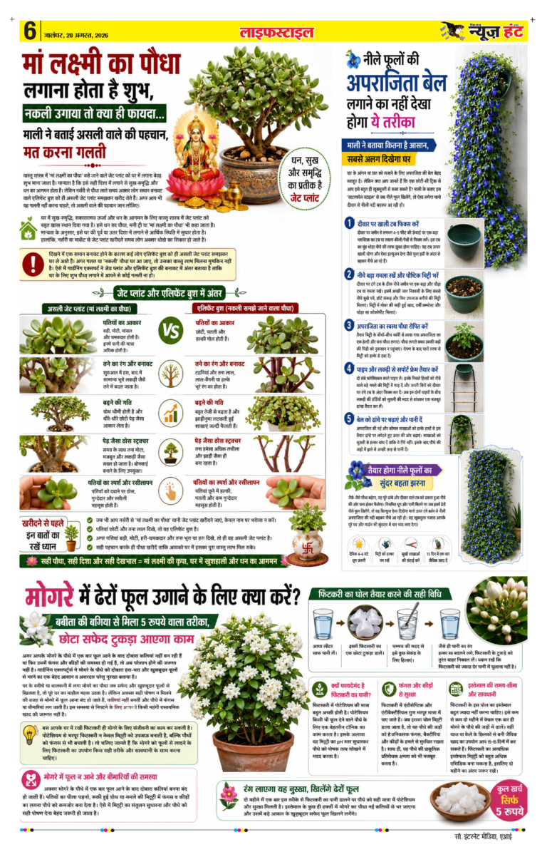 News Hunt Daily Evening E-Paper 28-08-2026 Page 6