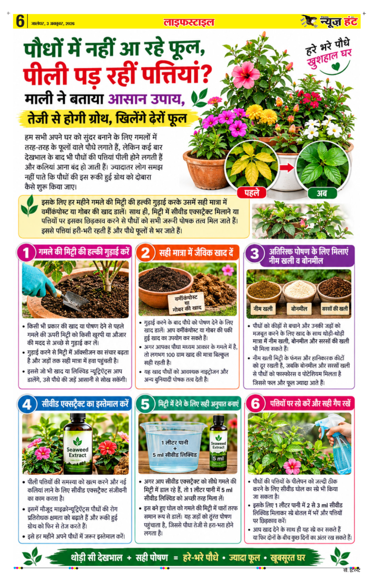 News Hunt Daily Evening E-Paper 03-10-2026 Page 6