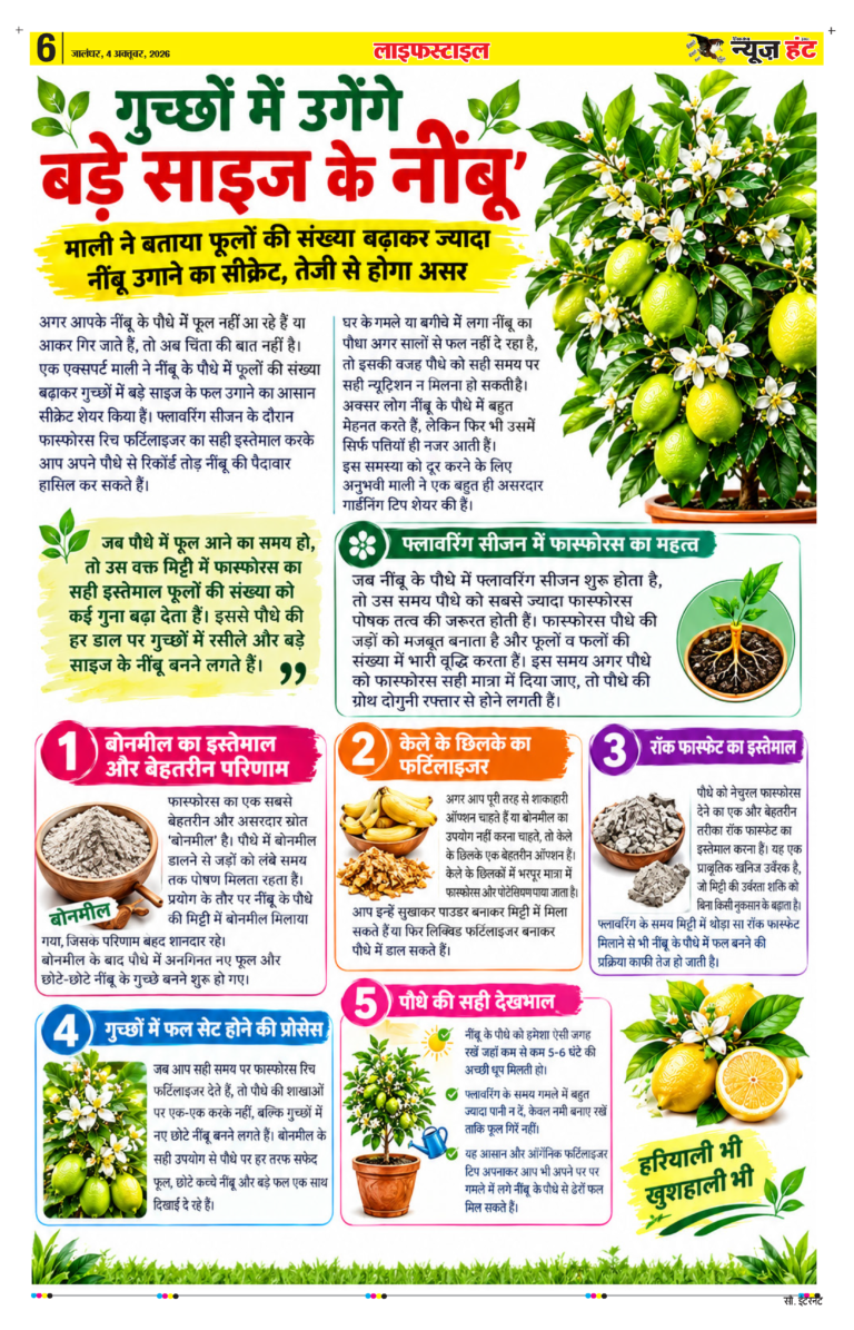 News Hunt Daily Evening E-Paper 04-10-2026 Page 6